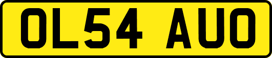 OL54AUO