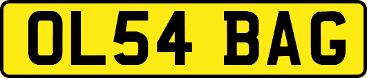 OL54BAG