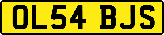 OL54BJS