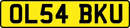 OL54BKU