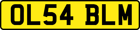 OL54BLM