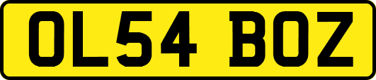OL54BOZ