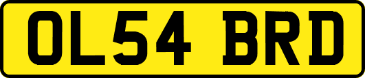OL54BRD