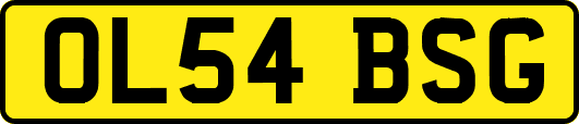 OL54BSG