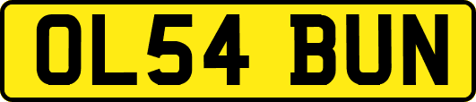 OL54BUN