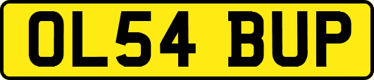 OL54BUP