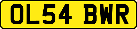OL54BWR