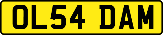 OL54DAM