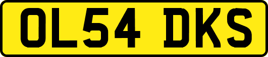 OL54DKS
