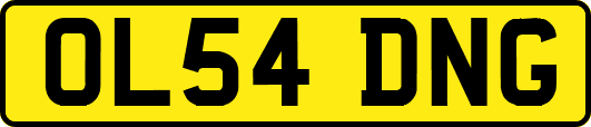 OL54DNG