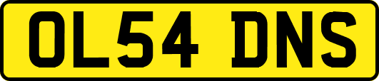 OL54DNS