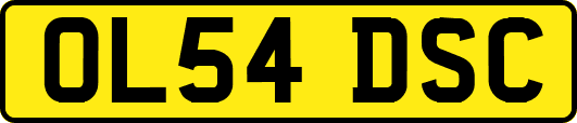 OL54DSC