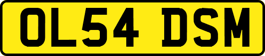 OL54DSM