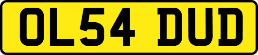 OL54DUD
