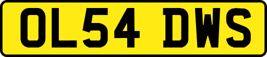 OL54DWS