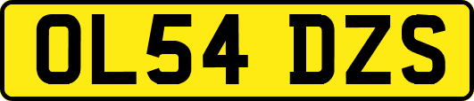 OL54DZS