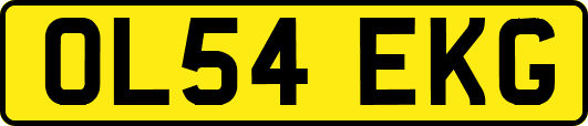 OL54EKG