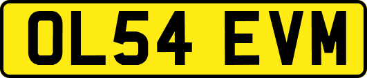 OL54EVM