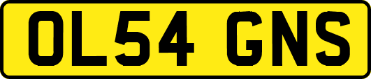 OL54GNS
