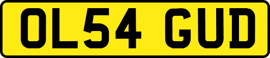 OL54GUD