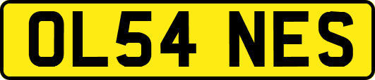 OL54NES
