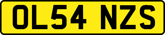 OL54NZS