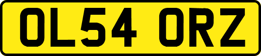 OL54ORZ