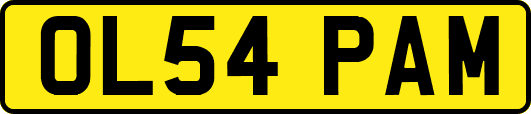 OL54PAM