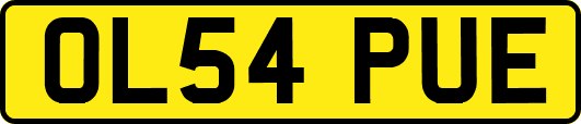 OL54PUE
