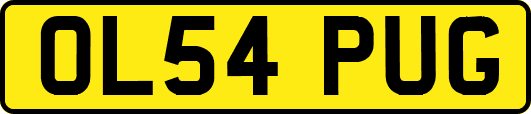 OL54PUG