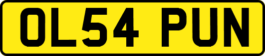 OL54PUN