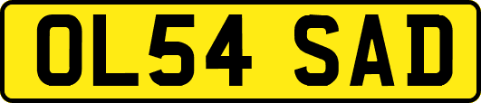 OL54SAD