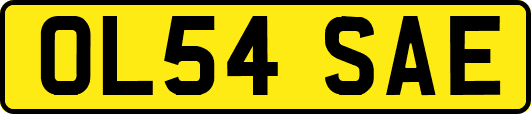 OL54SAE