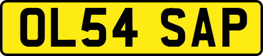 OL54SAP