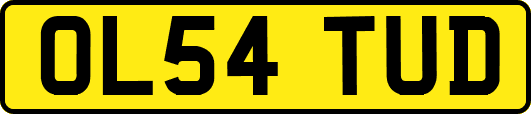 OL54TUD