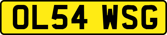 OL54WSG