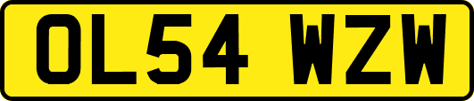 OL54WZW