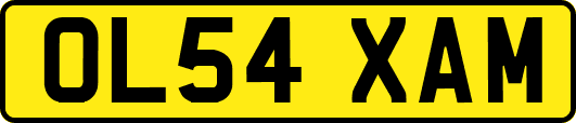 OL54XAM