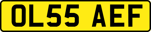 OL55AEF