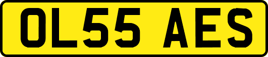 OL55AES