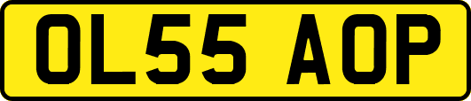 OL55AOP