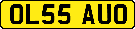 OL55AUO