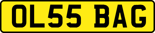 OL55BAG