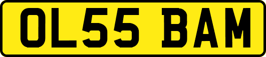 OL55BAM