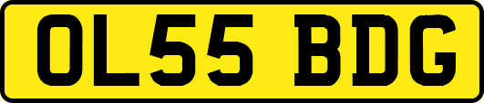 OL55BDG