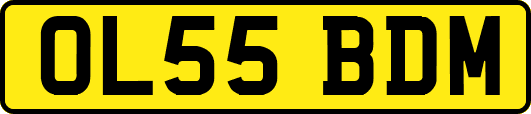 OL55BDM