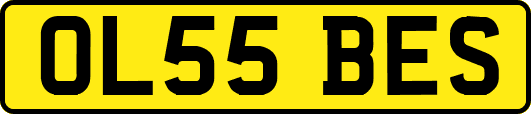 OL55BES