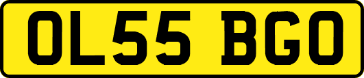 OL55BGO
