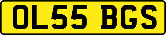 OL55BGS