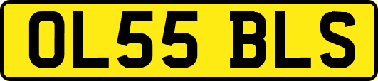 OL55BLS